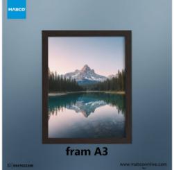 frame a3